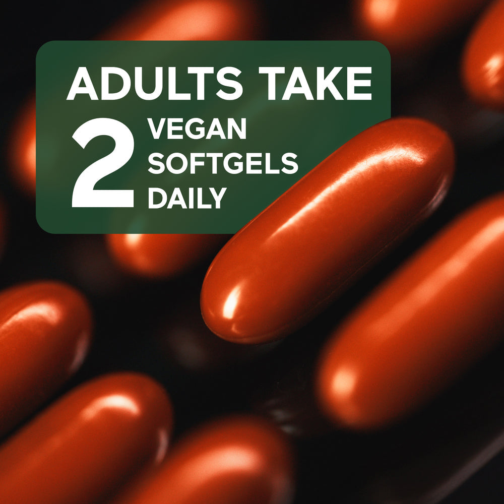 SMARTER NUTRITION Curcumin Softgels - Vegan High Absorption 400 mg Turmeric Supplement + Black Seed Oil & Ginger